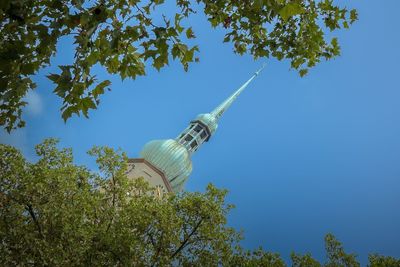 Low angle view of trees against blue sky