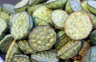 Close-up of lotus pods at market