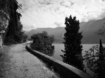 Road amidst trees against sky