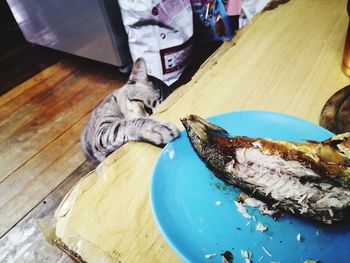 High angle view of cat on table