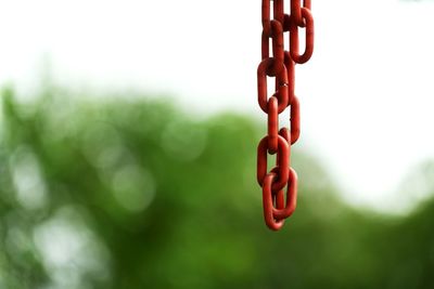 Close-up of chain against trees