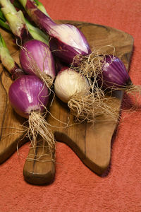 High angle view of food on table