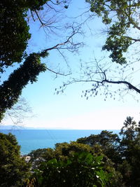 Scenic view of sea against clear blue sky