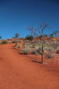 Bare trees on landscape against clear blue sky