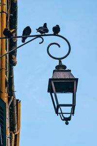 Low angle view of street light against sky