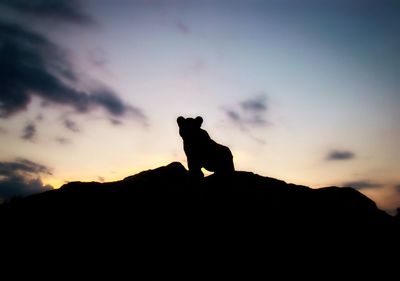 Silhouette horse standing on rock against sky during sunset