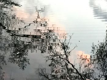 Reflection of trees in lake against sky