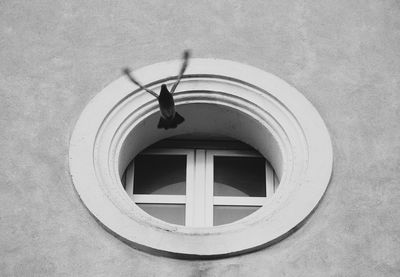 Low angle view of pigeon flying against circle window