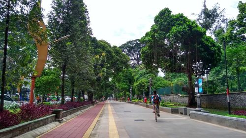 Road amidst trees against sky