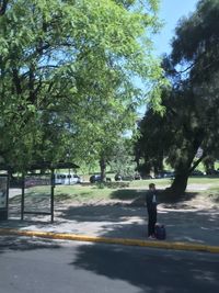 Rear view of woman walking on road by trees