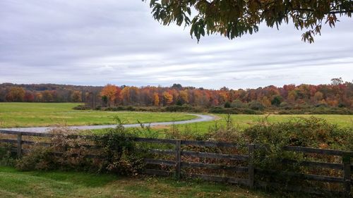 Scenic view of field against sky