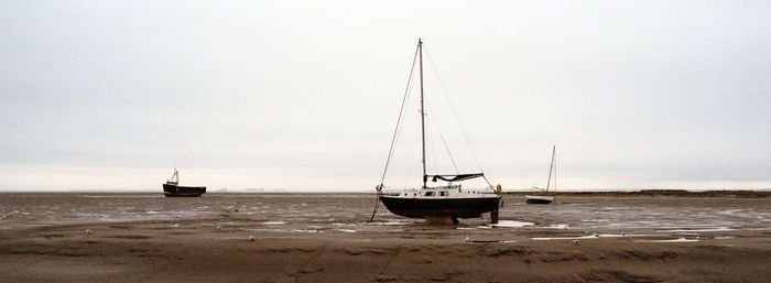 Sailboats sailing in sea