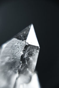 High angle view of leaf on table against black background