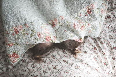 Funny children embrace, play under a blanket on the bed. concept happy childhood and siblings. 