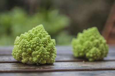 Close-up of green vegetable on table