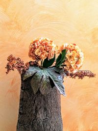 Close-up of flower vase against tree trunk