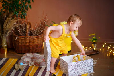 Baby for easter, box with geese