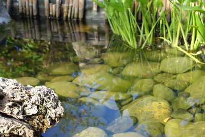 Close-up of rocks in water