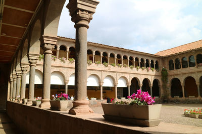 View of flowering plants in front of building