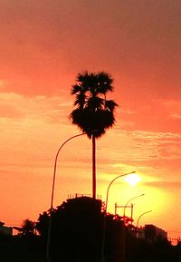 Silhouette palm trees at sunset