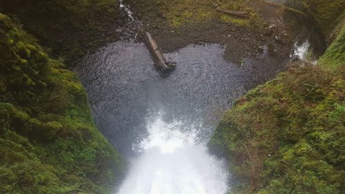 Stream flowing through a grass