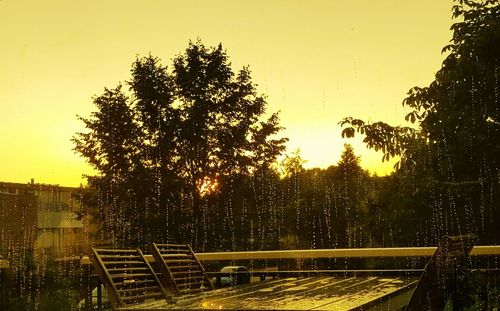 Trees against clear sky during sunset