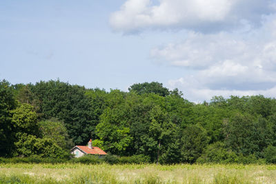 Trees on field against sky. hidden house in the woods. house hidding in the forest 