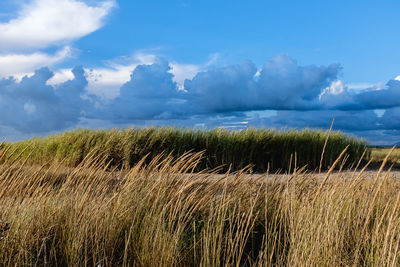 Scenic view of field against cloudy sky