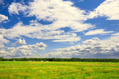 Scenic view of agricultural field against sky