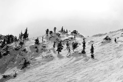 Scenic view of snow covered landscape