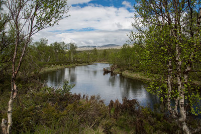 Scenic view of lake in forest against sky