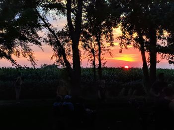 Silhouette trees against sky during sunset