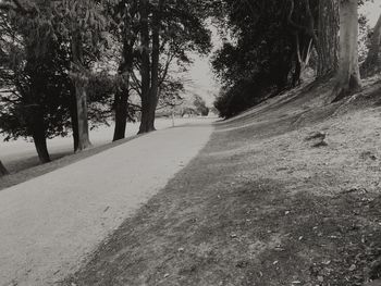 Road amidst trees against sky