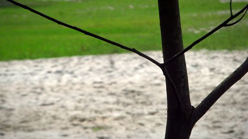 Close-up of chainlink fence