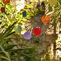 Low angle view of lanterns hanging on tree