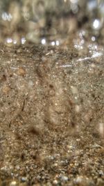 Close-up high angle view of water