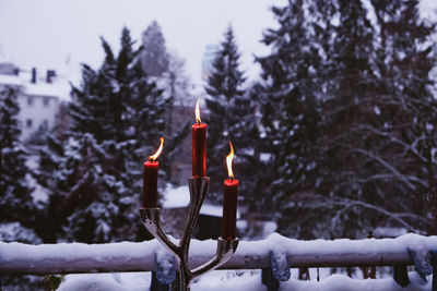 Snow covered fire against trees