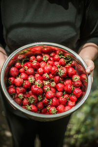 Midsection of woman holding strawberries