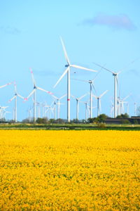 Scenic view of oilseed rape field against sky