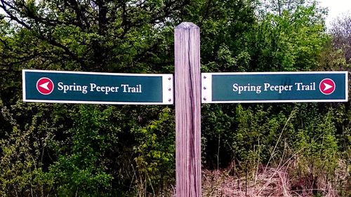 Information sign by trees in forest