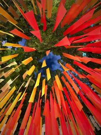 Full frame shot of multi colored umbrella