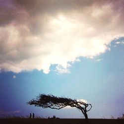 Low angle view of silhouette tree against cloudy sky