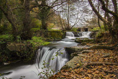 Waterfall in forest