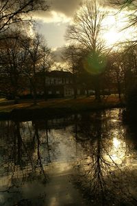 Reflection of bare trees in lake