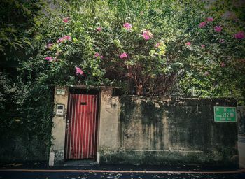 Plants with closed door