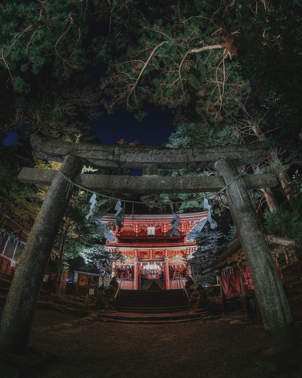 tree, architecture, plant, built structure, religion, belief, nature, place of worship, night, spirituality, building, building exterior, outdoors, no people, growth, forest, trunk, shrine