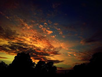 Silhouette of trees at sunset
