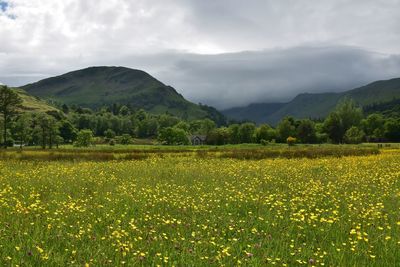 Scenic view of grassy field against cloudy sky