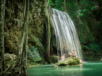 Scenic view of waterfall in forest