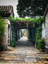 Footpath amidst buildings